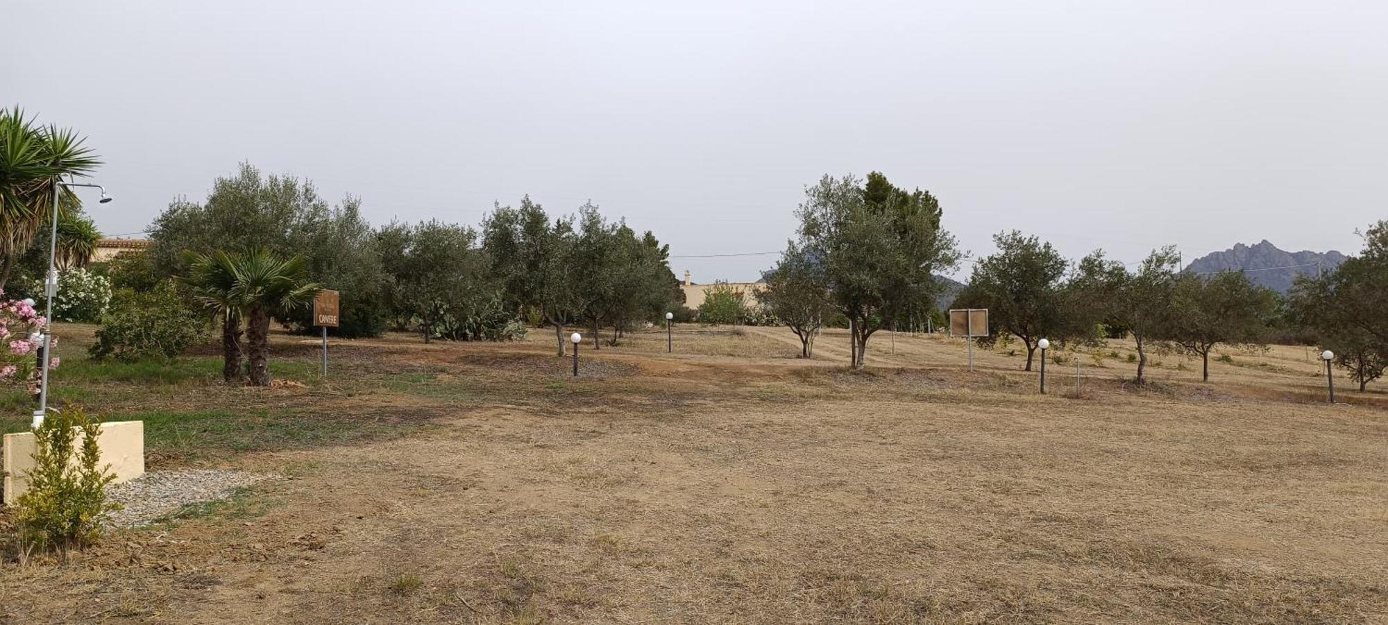 Sa Teria Village - Appartamenti - 테르테니아 외부 사진