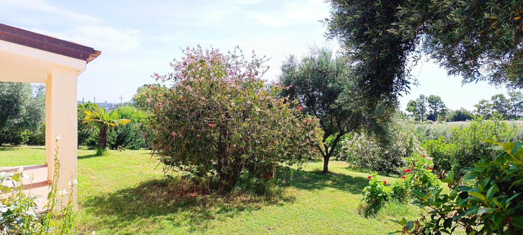 Sa Teria Village - Appartamenti - 테르테니아 외부 사진