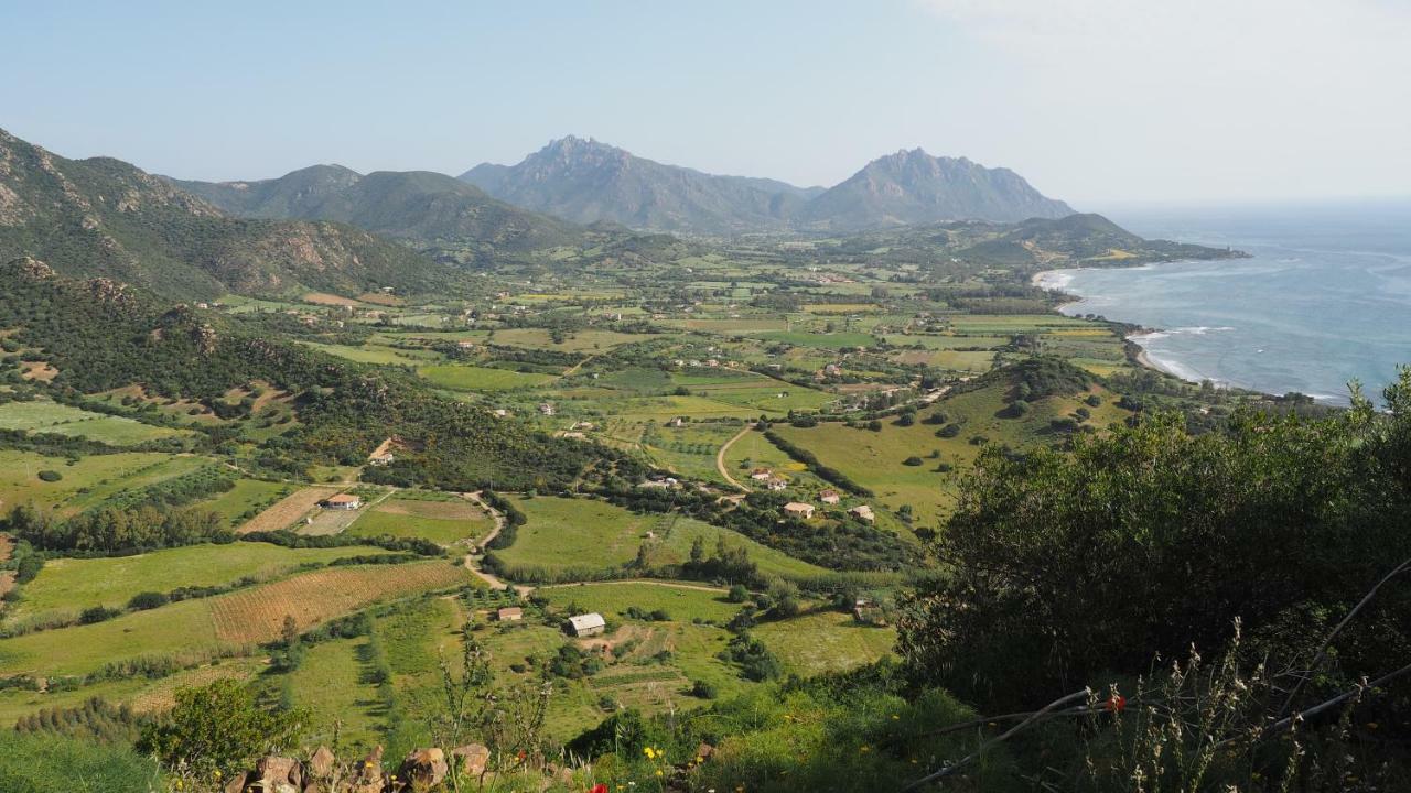 Sa Teria Village - Appartamenti - 테르테니아 외부 사진