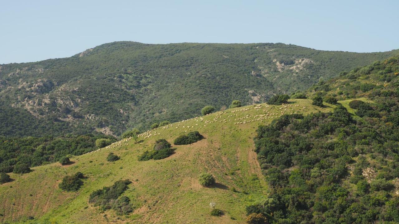 Sa Teria Village - Appartamenti - 테르테니아 외부 사진